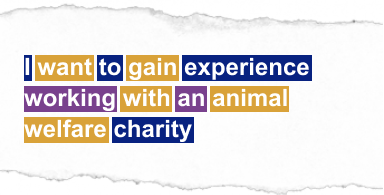 I want to gain experience working with an animal welfare charity